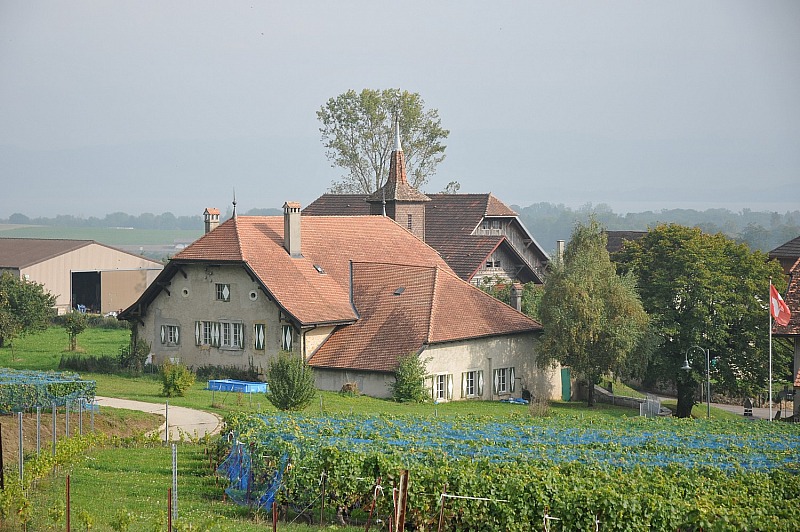 Commune de Champagne (VD)