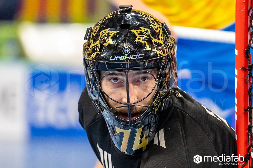 MEDIAFAB-WFC2022-SWEDEN-CZECH-13.11.2022-WFC_7957.JPG